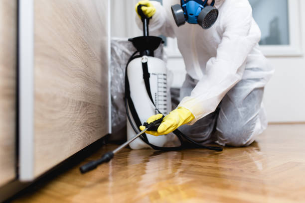 Best Local Pest Control Services  in Rocky Mount, NC