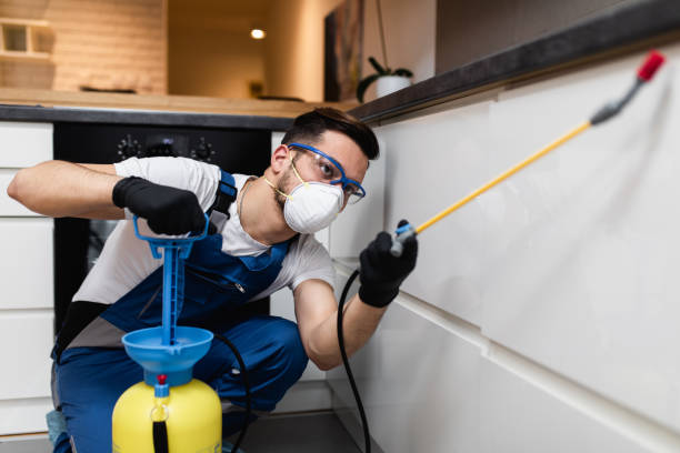 Best Pest Control Cost  in Rocky Mount, NC