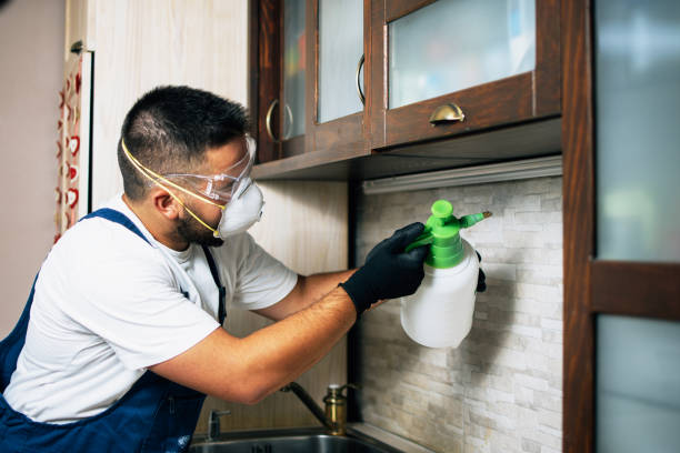 Best Residential Pest Control  in Rocky Mount, NC