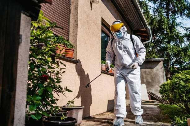 Best Bed Bug Extermination  in Rocky Mount, NC
