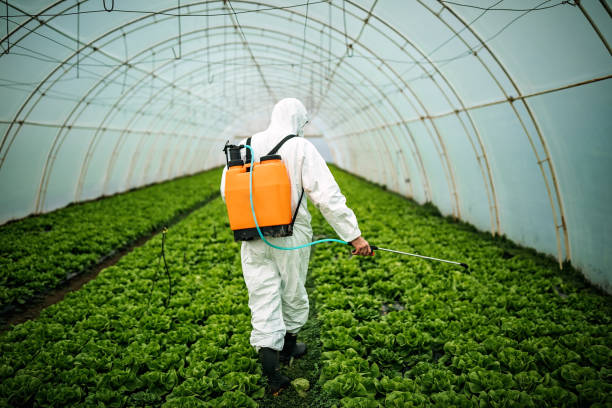 Best Best Pest Control Near Me  in Rocky Mount, NC