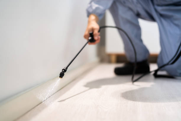 Best Local Pest Control Services  in Rocky Mount, NC