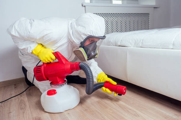 Pest Prevention Services in Rocky Mount, NC