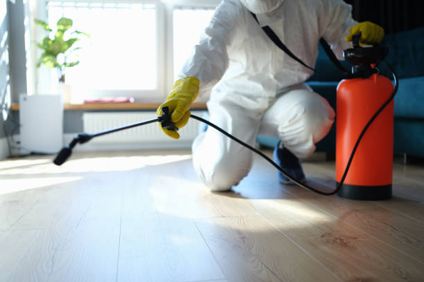Best Affordable Pest Control Services  in Rocky Mount, NC
