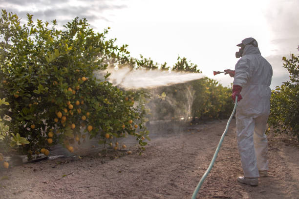 Best Best Pest Control Companies  in Rocky Mount, NC