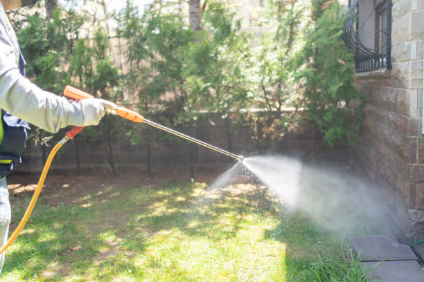 Best Pest Control Near Me in Rocky Mount, NC