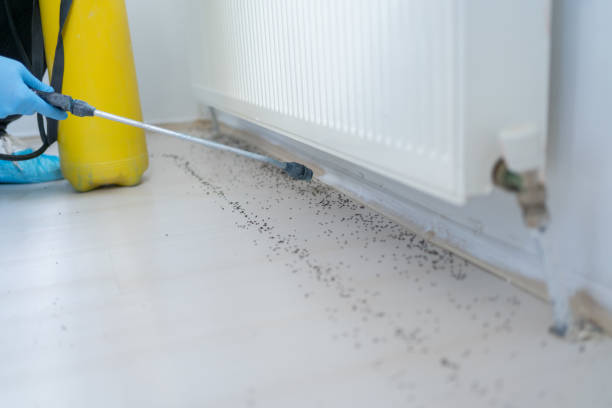 Best Pest Control for Businesses  in Rocky Mount, NC