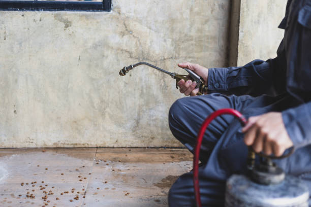 Best Mosquito Control Services  in Rocky Mount, NC